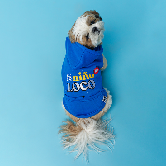 El Niño Loco