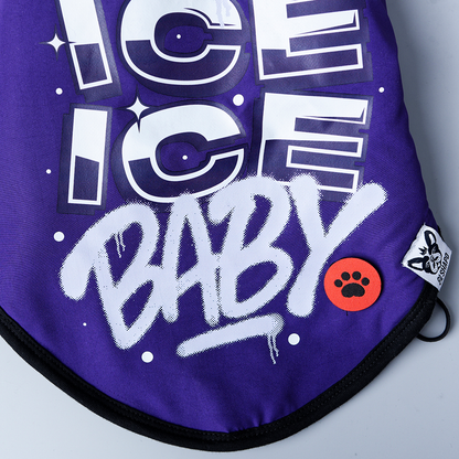 Ice Ice baby
