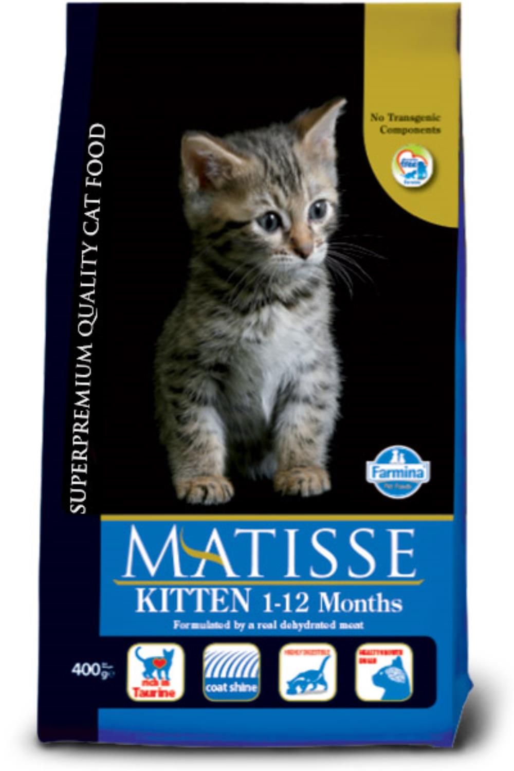 Matisse kitten 1,5kg